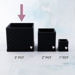 3 inch Snappy Pots sizes Black
