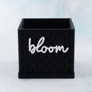 Bloom | Classic Words