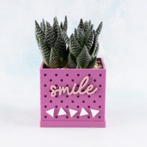 smile snappy pot orchid purple with triangles