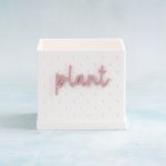 plant dusty pink word snap on pot