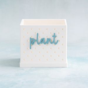 Plant | Classic Words