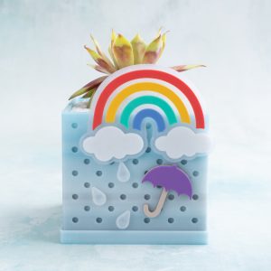 rainbow cloudy skies umbrella and rain snaps with gold nugget succulents