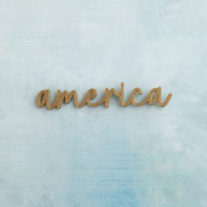america gold snap front