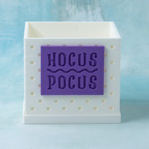 Hocus Pocus | Limited Edition Word Plaque