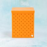 3 inch orange snappy box