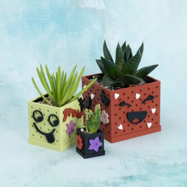 snappy pots succulent starter set 3 inch 2 inch 1 inch snappy pots with faces snaps front silly faces