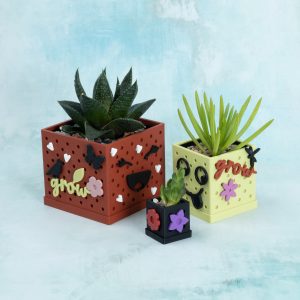 succulent starter set 3 inch 2 inch 1 inch snappy pots