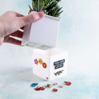removing liner from snappy pots planter succulents you are loved charms