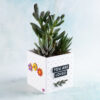 snappy planter pot succulents you are loved flowers charms