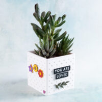 snappy planter pot succulents you are loved flowers charms