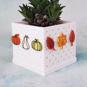 white nsappy pot with haworthia succulent pumpkins fall leaves