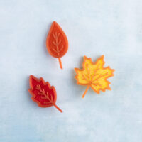 Fall leaves charm set front