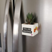 Snappy magnetic planter on fridge you are amazing charms