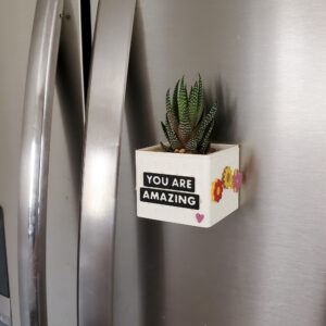 snappy magnetic planter on fridge you are amazing snaps