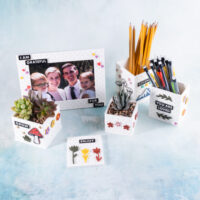 Snappy pots products decorated