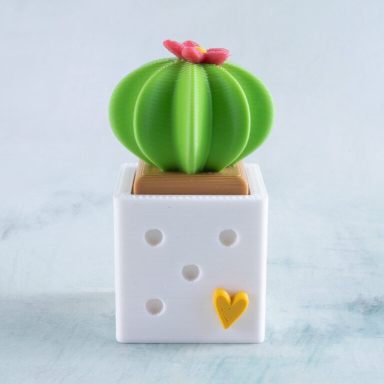 Barrel cactus fidget toy clicker snappy pots pink flower
