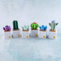 Six cactus and succulents fidget toys clicker snappy pots