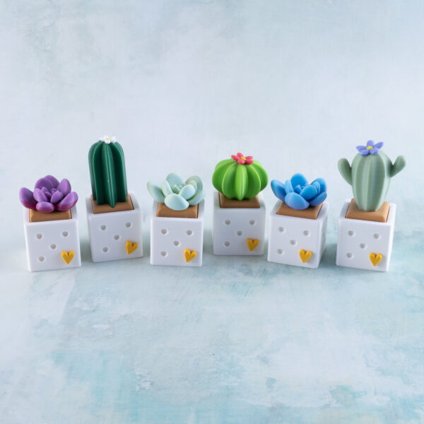 six cactus and succulents fidget toys clicker snappy pots