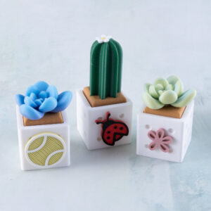 three succulent cactus fidget toys clicker snappy pots