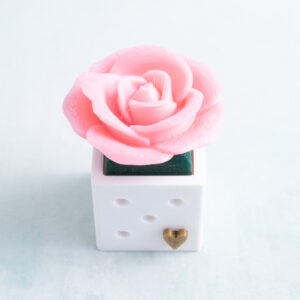 pink rose snappy pots clicker fidget angle