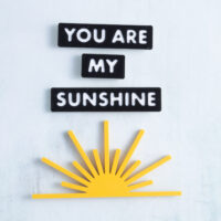 You are my sunshine snappy pots charm set