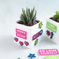 happy heart pixel hearts nerdhq haworthiopsis succulent planter gift set