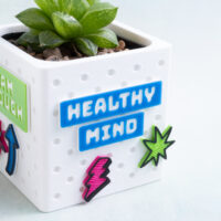 healthy mind nerdhq snappy pots succulent planter gift set