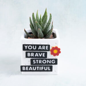 you are brave strong beautiful red flower haworthiopsis concolor succulent planter gift set