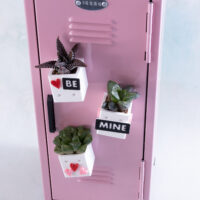 mini magnet planter snappy pots be mine on locker