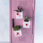 mini magnet planter snappy pots three with succulents on locker