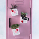 mini magnet planter snappy pots with succulents on locker