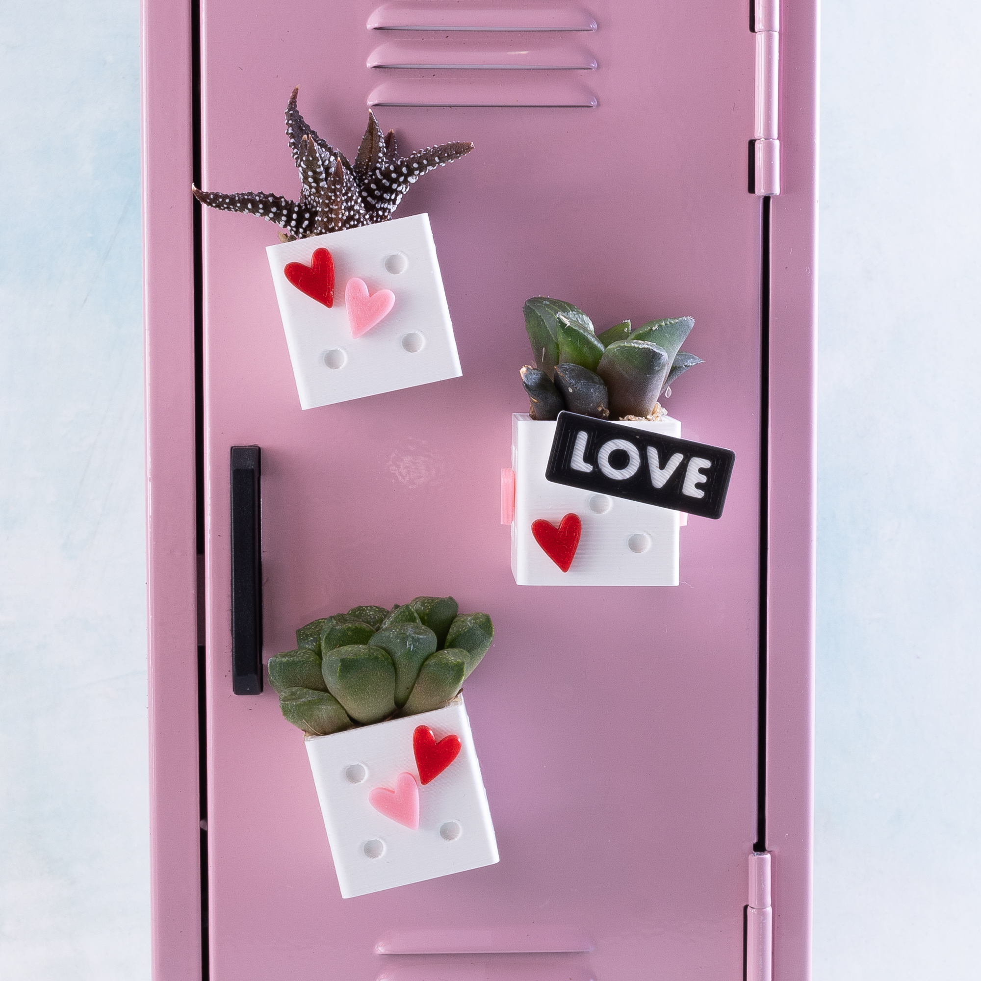 mini magnet planter snappy pots with succulents on locker