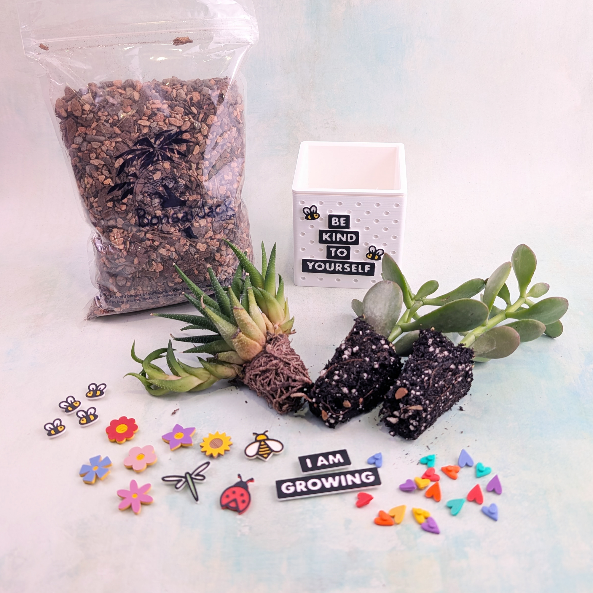 Snappy Pots Succulent Starter Kit