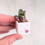 potted succulents mini magnetic planter 05
