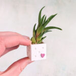 potted succulents mini magnetic planter 06