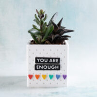 You are enough snappy pots classic planter little rainbow hearts