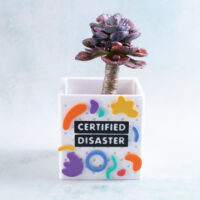 Certified disaster charm with succulent planter squiggle shapes rainbow