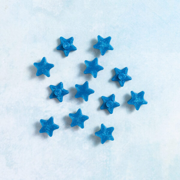 Snappy pots star charms sparkle blue