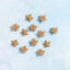 snappy pots star charms sparkle gold