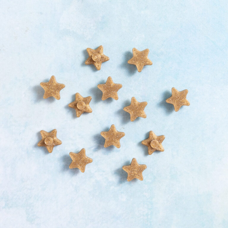 Snappy pots star charms sparkle gold