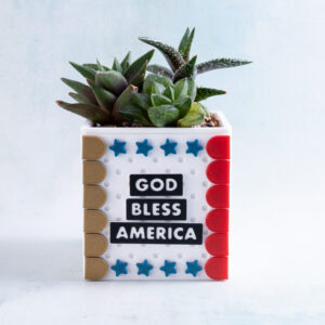 Snappy pots word charms god bless america on classic planter with succulents gold red scallops blue stars