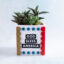 snappy pots word charms god bless america on classic planter with succulents gold red scallops blue stars