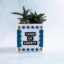 snappy pots word charms land of liberty on classic planter blue gold scallops stars triangles