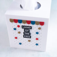 Snappy pots word charms land of the free on tissue box cover gold red blue scallops stars angle