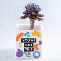 You’ve got this word charms with succulent planter squiggle shapes rainbow