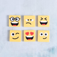 Emotion Faces Charms | Snappy Pots